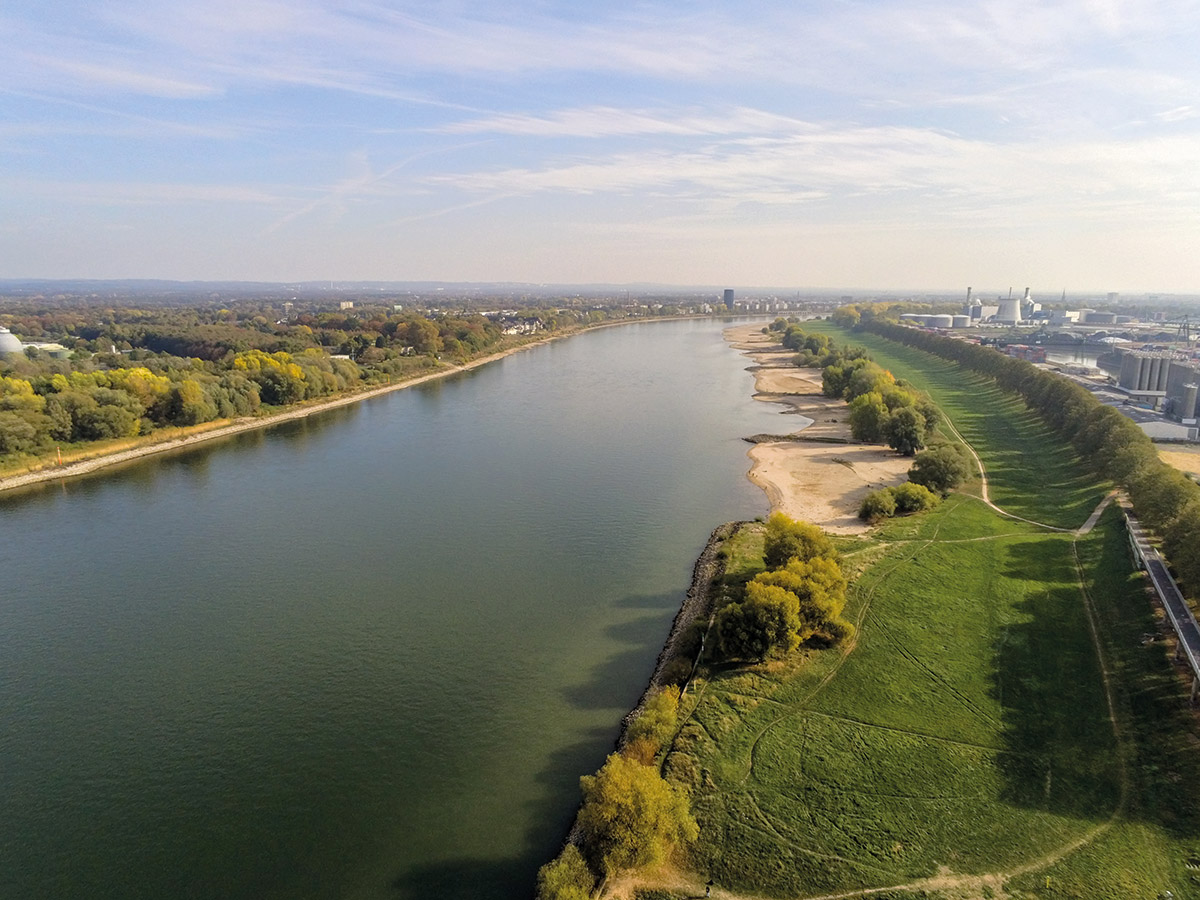 Der Rhein in Köln-Niehl